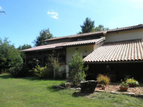 Ferme le poulet